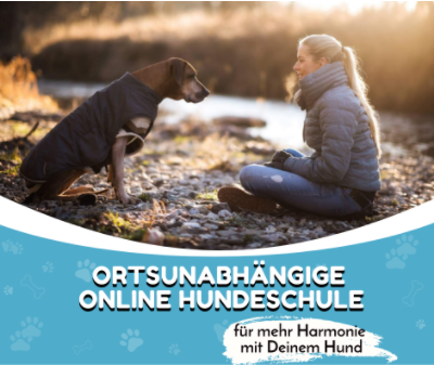 hundeschule